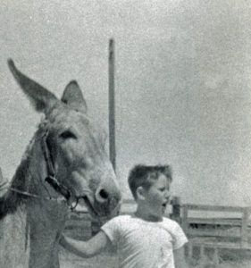 Donkey & Boy